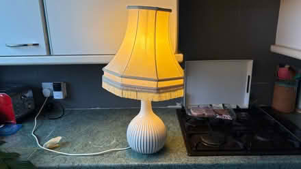 Photo of free Lamp (Drum Brae EH4) #1