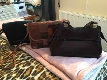 Photo of free Handbags (Fintry DD4) #2
