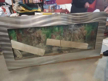 Photo of free fish tank/ vivaruim (Weston SO19) #3