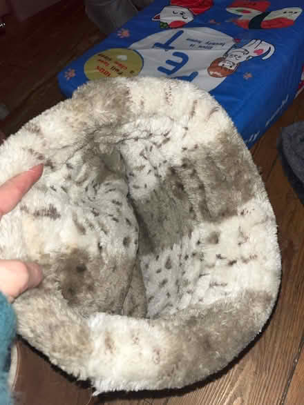 Photo of free Cat bag / bed (Brighton BN2) #2