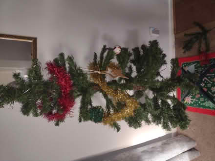 Photo of free 5ft Christmas Tree⛄ (Hatfield AL10) #1