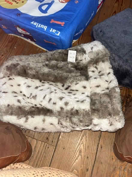 Photo of free Cat bag / bed (Brighton BN2) #1