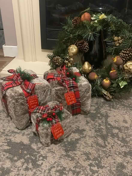 Photo of free Christmas Wreath and Christmas parcels (Whins of Milton FK7) #1