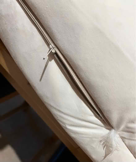 Photo of free 2 x very large sofa seat cushions (Shiplake Cross) #4