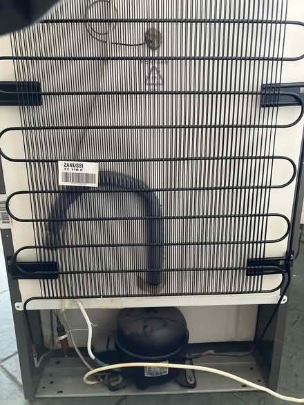 Photo of free Fridge - Zanussi - grey (CT14) #4