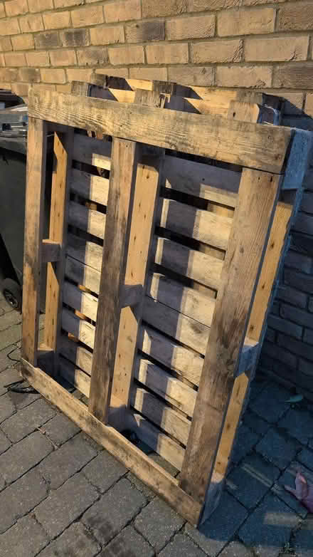Photo of free 7 x shipping Pallets (Cheshunt EN8) #1