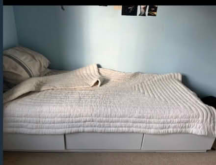 Photo of free Single bed and mattress (Royal Standard SE3) #1