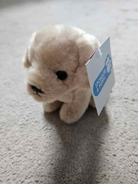 Photo of free Various soft toys (Harefield UB9) #1