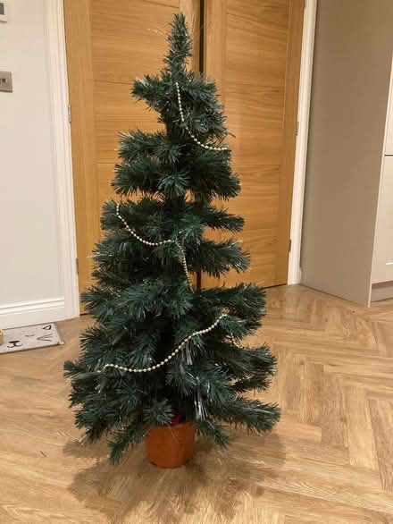 Photo of free Artificial Christmas tree (Noctorum CH43) #1