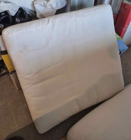 Photo of free 2 x Large sofa cushions uncovered (Brockley SE4) #1