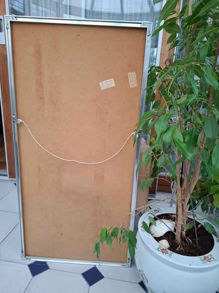 Photo of free Picture Tall (A96 y4a4) #4