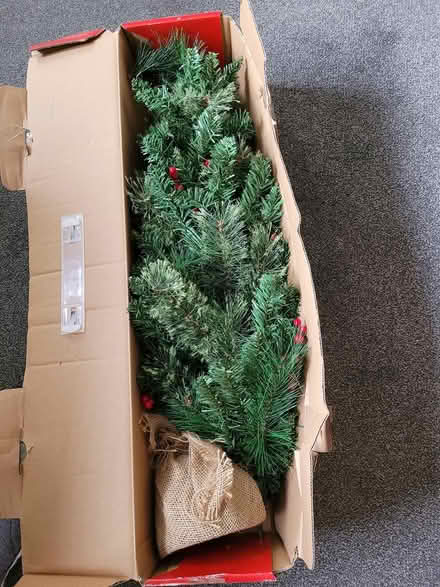 Photo of free Christmas Tree (Bedlington NE22) #3