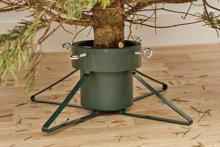 Photo of Christmas tree stand (Stockbridge, EH4) #1