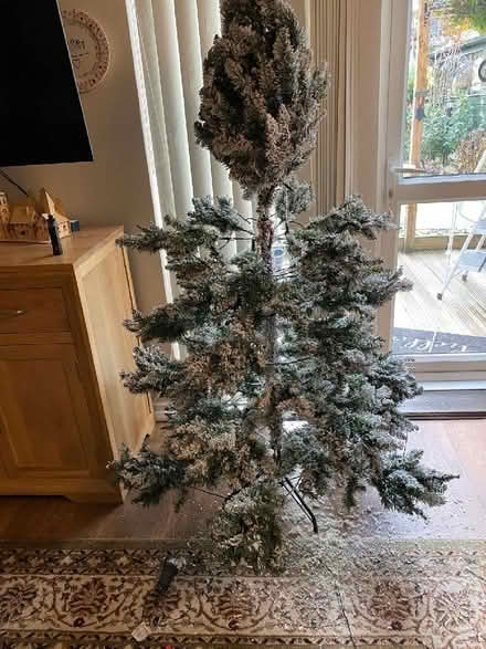 Photo of free Christmas Tree (Crownhill MK8) #1