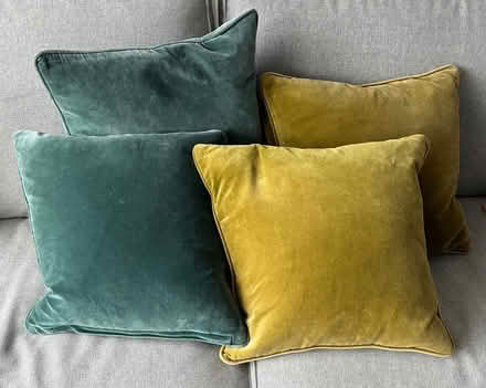 Photo of free 4 velvet cushions (St Albans) #1