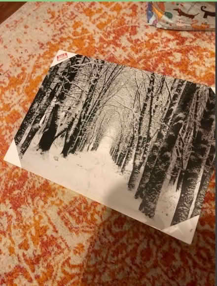 Photo of free Large snowy forest scene (Bedfont TW14) #2