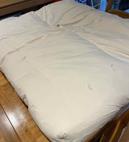 Photo of free 2 x very large sofa seat cushions (Shiplake Cross) #2