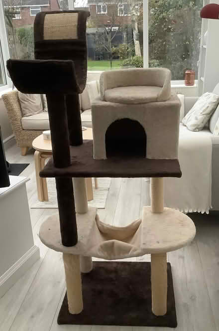 Photo of free Large cat tree (Warwick CV34) #1