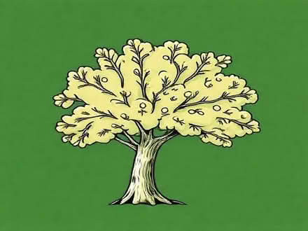 Photo of Oak wood (Worrall S35) #1