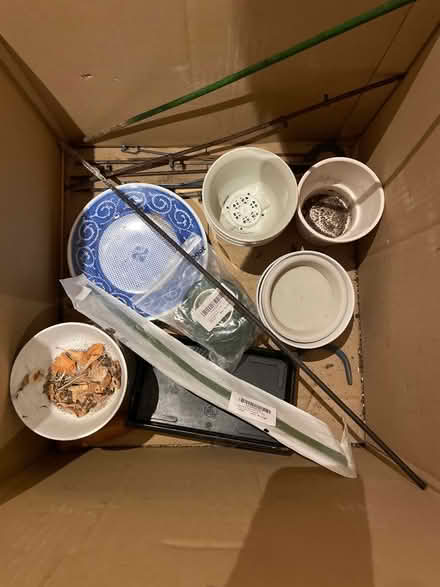 Photo of free Garden bits and bobs (Hackney E8) #1