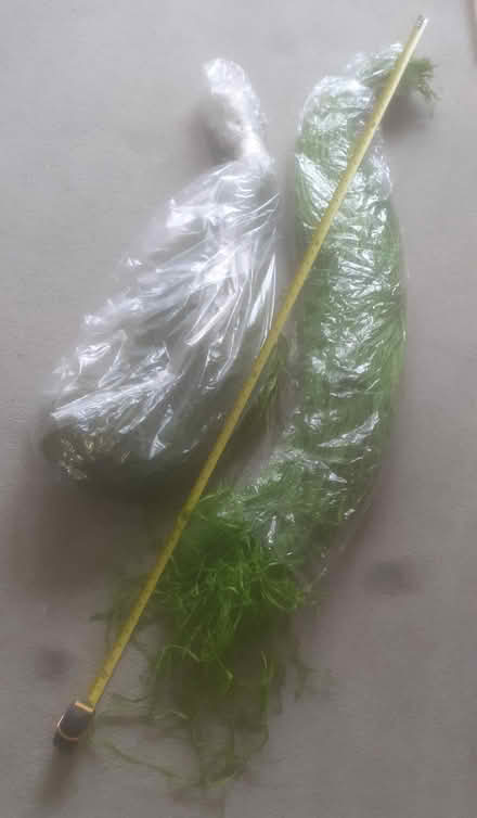 Photo of free 2 x 1.5m Green Garlands - superb for Xmas decorating! (Fiveways BN1) #1