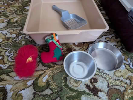 Photo of free Cat carrier, litter tray, bowls, toys (Costessey NR8) #2