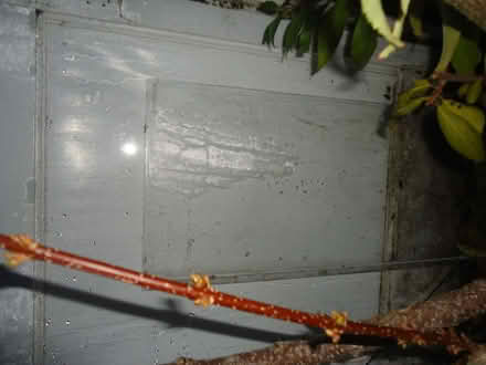 Photo of free Single glass pane in undamaged condition (Willingdon BN20) #1