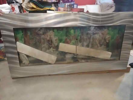 Photo of free fish tank/ vivaruim (Weston SO19) #1