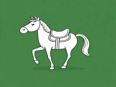 Photo of saddle (Sefton L21) #1