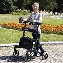 Photo of Upright Rolator / walker (Raynor Park, bird land) #1