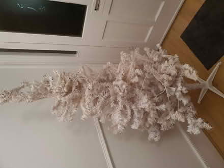 Photo of free White Christmas Tree (Leytonstone E11) #1