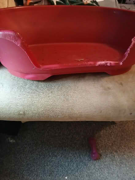 Photo of free Red doggy bed (Little Carleton FY3) #1
