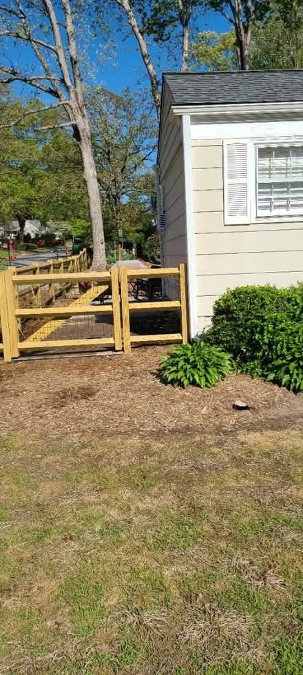 Photo of free Hostas (Lake Daniel, Greensboro) #3