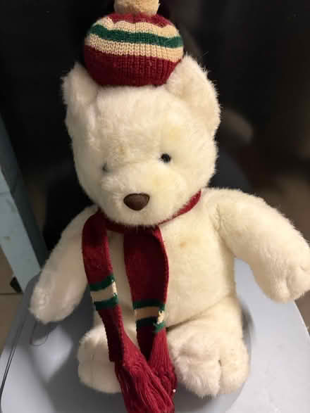 Photo of free White Teddy Bear (Westbury Wilts BA13) #1