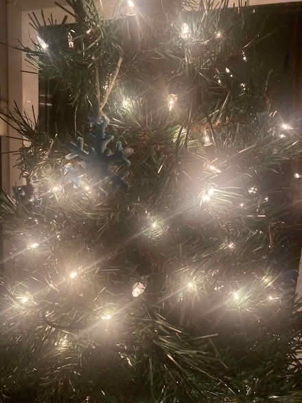 Photo of Christmas lights (BS11) #1