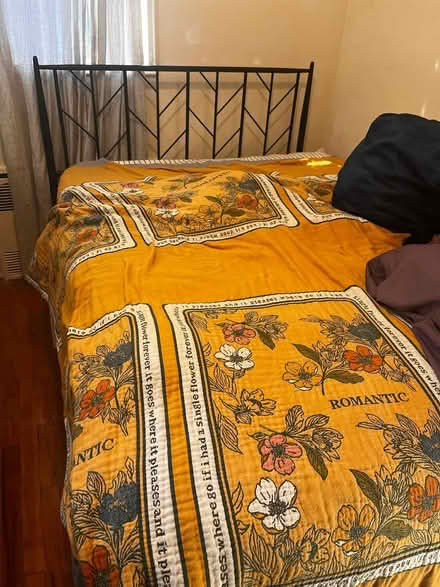 Photo of free Sofa & Full Size Bed frame (Flatbush/Ditmas) #1