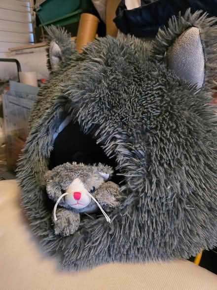 Photo of free Fluffy toy cat with cat bed (Stroud) #1