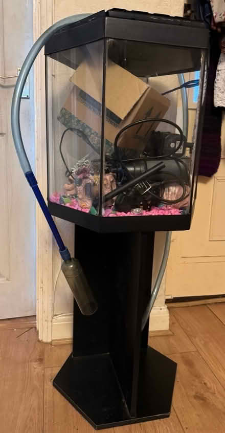 Photo of free Hexagonal fish tank (Wincobank, S9) #1