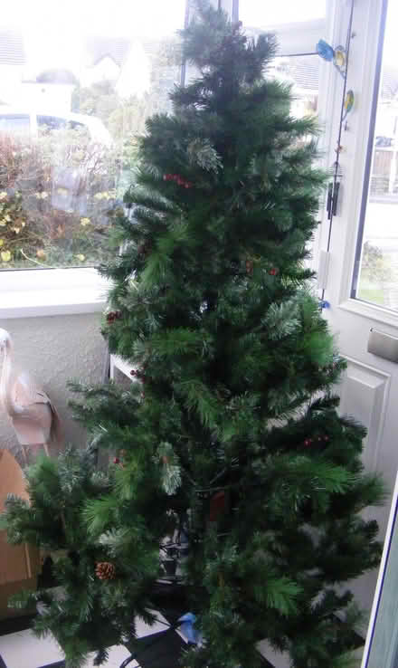 Photo of free Christmas Tree (Carbis Bay TR26) #2