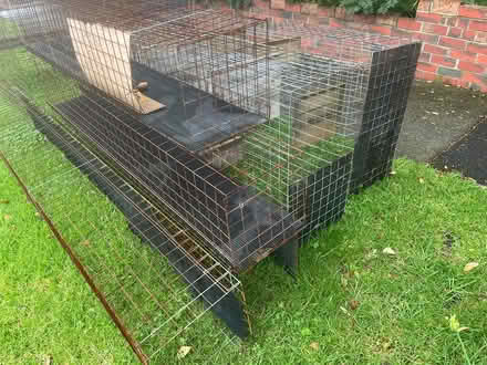 Photo of free Outdoor cat run (Brighton East) #2