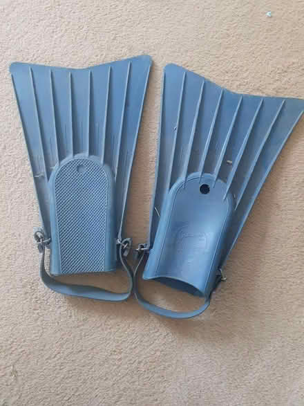 Photo of free Flippers (Denton M34) #1