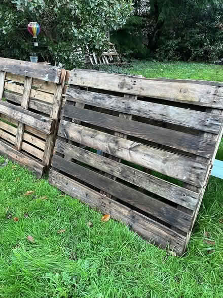 Photo of free Pallets (Penn) #1