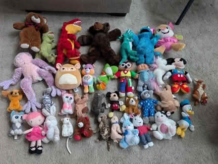 Photo of free Various Stuffed Animals (Oxbow Lk and Elizabeth Lk Rds) #1