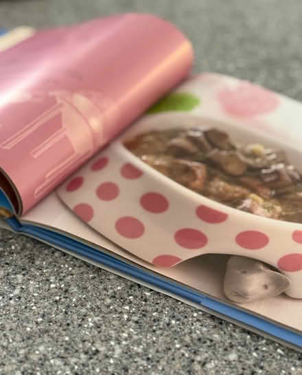 Photo of free Cooking For Your Cat - Cook Book (BH22 8) #3