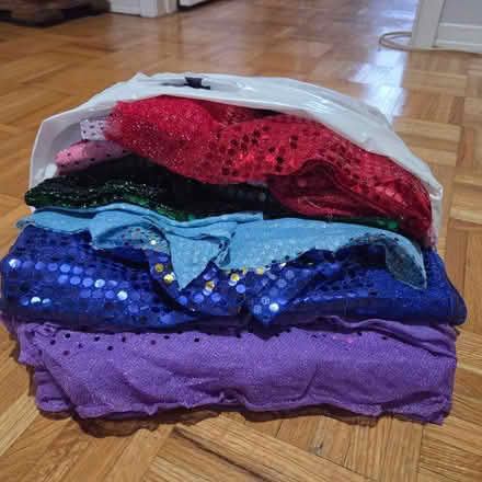 Photo of free Dance costume fabrics (Britannia/Winston Churchill) #1