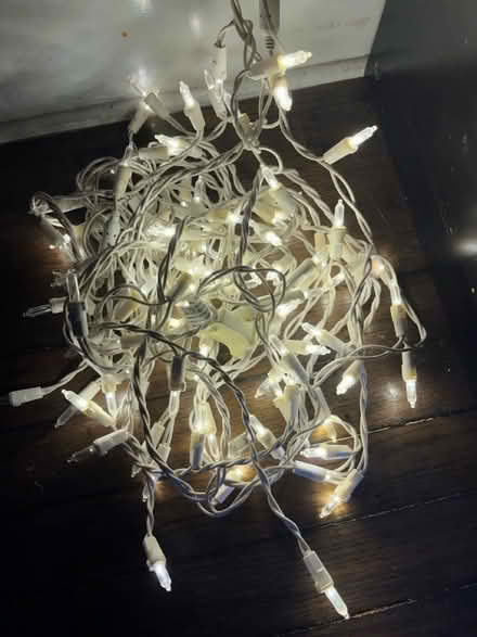 Photo of free working light chain (Lawrence/ El Camino Real) #1
