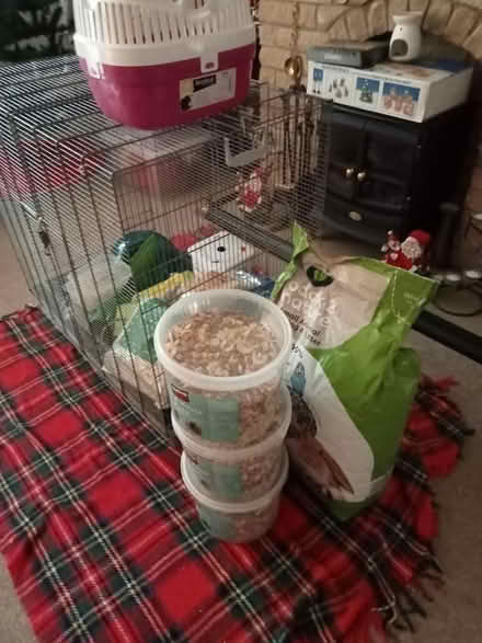 Photo of free Very Large Animal Cage (Lower Broadheath WR2) #2