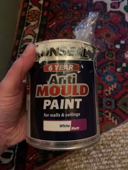 Photo of free White anti mould indoor paint (Morningside/Comiston EH10) #1