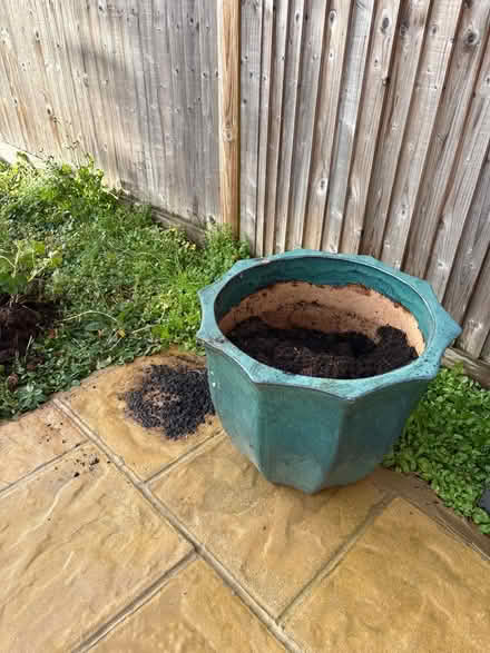 Photo of free Green garden plant pot (Buggs Bottom RG4) #1