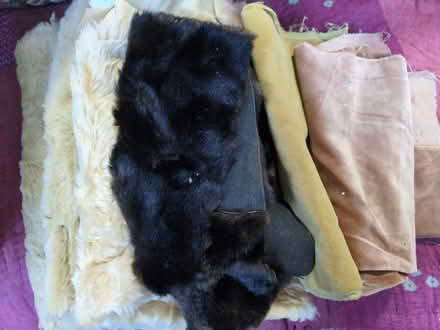 Photo of free Fabric - fake fur and velvets (Halton LA2) #1